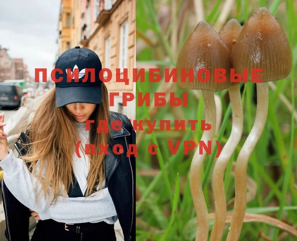 а пвп мука Горняк