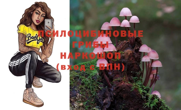 марки lsd Горнозаводск