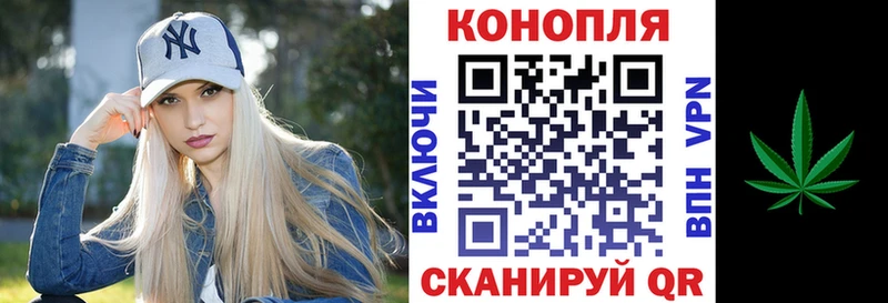 Купить где  Нягань  Бошки Шишки OG Kush 
